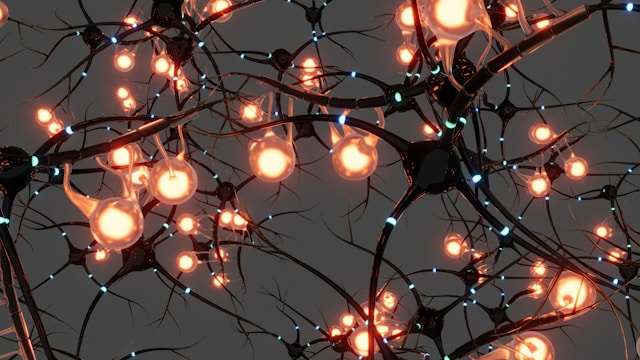 Cómo la neurociencia explica tu progreso en otro idioma