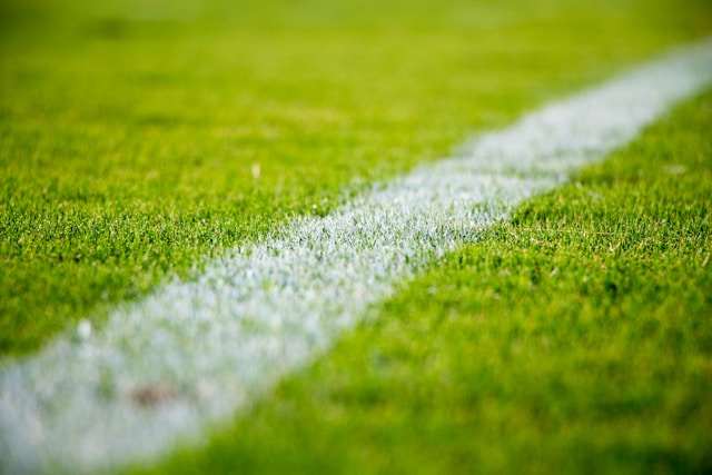 Bizkaia invierte un millón de euros en modernizar instalaciones deportivas municipales