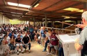 Diputación Foral de Bizkaia Vende 35 Cabezas de Ganado Pirenaico y Pottoka en Exitosa Subasta en Gorliz