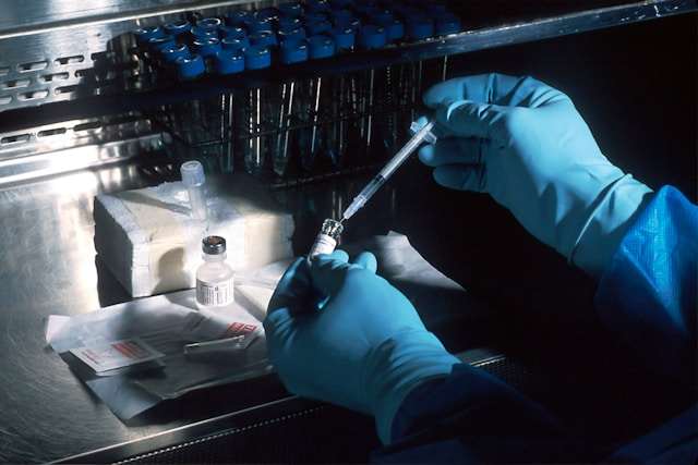 Donostia estudia implantar el ADN canino para combatir los excrementos en la vía pública