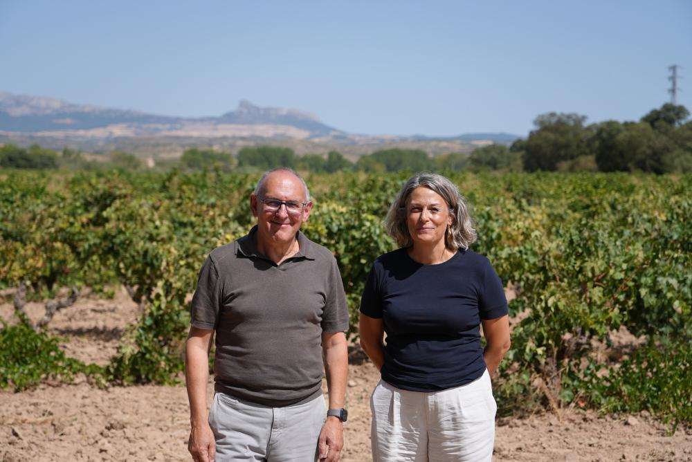 Ramiro González insta a bodegas a ofrecer precios justos por la uva de Rioja Alavesa