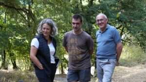 Pastoreo dirigido con 746 animales para prevenir incendios forestales en Álava: la Diputación implementa una innovadora estrategia ambiental