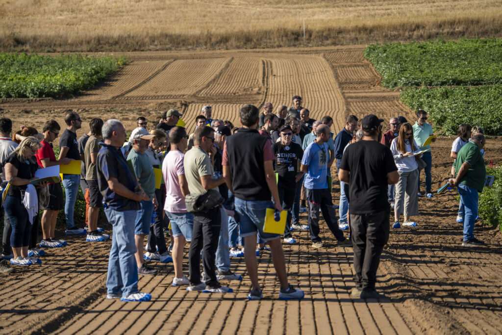 Innovaciones en el manejo de la patata y el uso de drones: Neiker revela avances en Álava