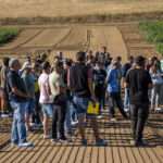 Innovaciones en el manejo de la patata y el uso de drones: Neiker revela avances en Álava