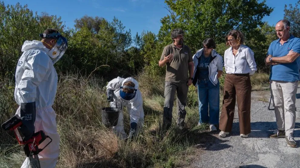 5,14 millones de euros para luchar contra las especies invasoras en Urdaibai, un esfuerzo de Bizkaia por preservar la biodiversidad